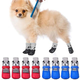 Pet Socks & Rain Boots