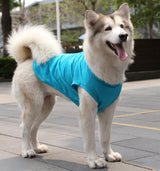 Dog Vest/Shirt Summer Small Medium Dog Clothes Chihuahua