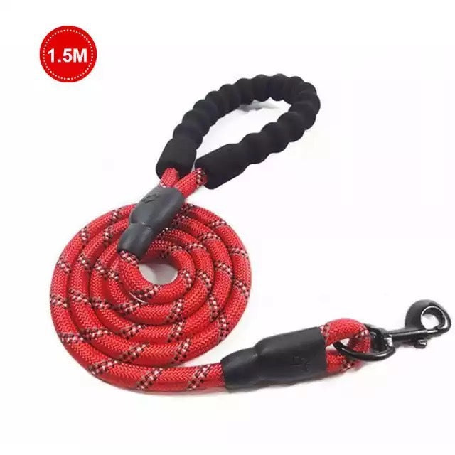 Kleine middelgrote hond met lichtgevende riem en ketting voor puppy's