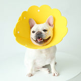 Obroża ochronna dla zwierząt Sunflower Modeling, antypoślizgowa osłona głowy
