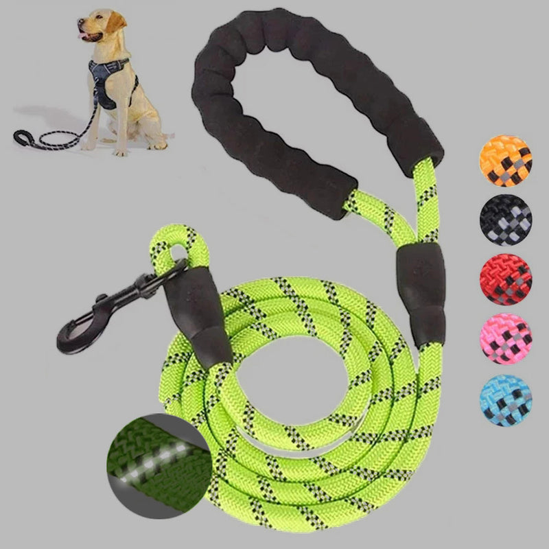Kleine middelgrote hond met lichtgevende riem en ketting voor puppy's