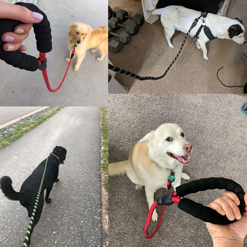 Kleine middelgrote hond met lichtgevende riem en ketting voor puppy's