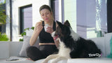 YowUp! L. Casei Immune System Turkey Hond