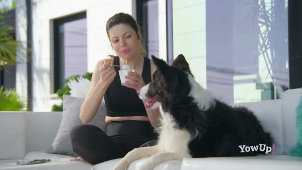YowUp! Yogurt Dogs Natural Prebiotics