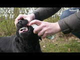 Excellent Pets Dental Oral Spray 150 ml